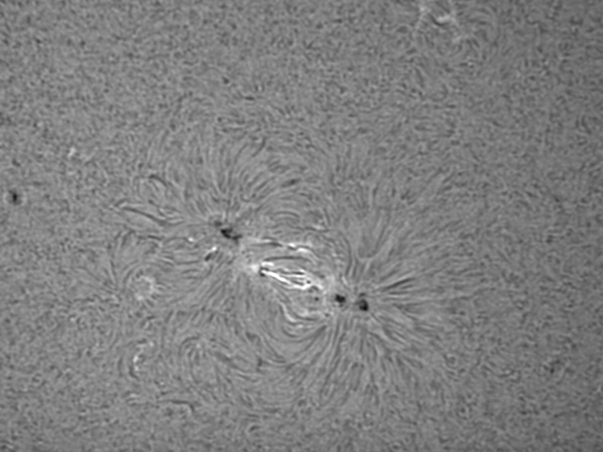 NOAA_12645